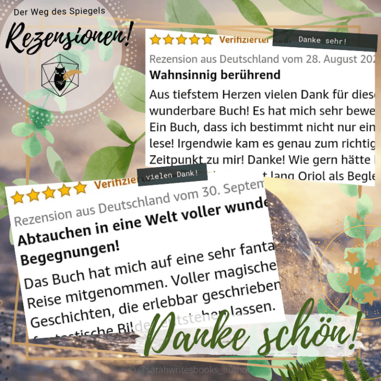 Auszug von Rezensionen zu der Weg des Spiegels aus Amazon