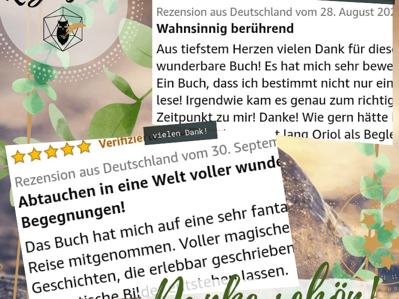 Auszug von Rezensionen zu der Weg des Spiegels aus Amazon